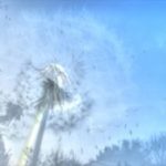 Zwalczanie alergii przez odpowiednie odżywianie się