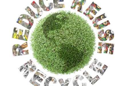 W harmonii z naturą! Ekologiczne proszki do prania JELP