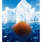 Kwasy omega-3 – ich zalety i znaczenie dla zdrowia