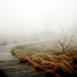 Jesienna depresja? 5 rzeczy, których nie wiedzieliście o „jesiennej depresji”